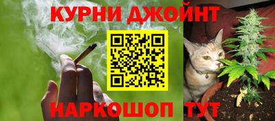 соль ск Кингисепп