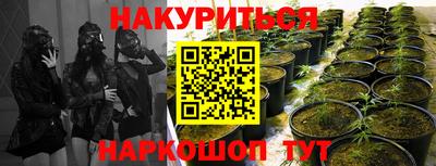 соль ск Кингисепп