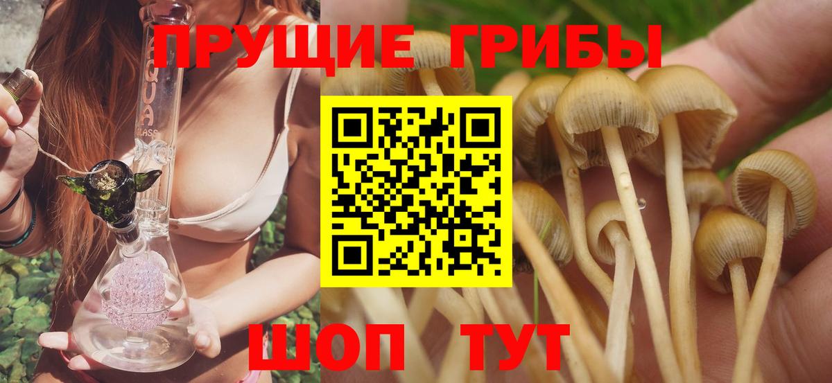 Псилоцибиновые грибы прущие грибы Алапаевск