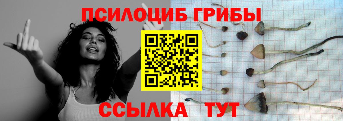Псилоцибиновые грибы GOLDEN TEACHER  Вход с VPN  Галлюциногенные грибы прущие грибы  Алапаевск 